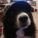 Chris McGeachy - @rissymcg - Instagram