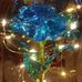 Grace Mcglumphy - Facebook