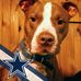 Chris Mcgoff - Facebook