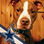 Chris Mcgoff - @chris.mcgoff.7 - Instagram