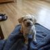 Chris Mcgoff - Facebook