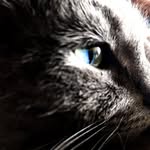Chris Mcinnes - @xauntix - Instagram