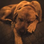 Chris McKeever - @chrisizup - Instagram