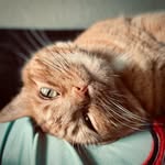 Chris McKeever - @cmmckeever - Instagram