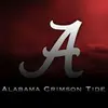 Chris S. McKeever - @chriss.mckeever - TikTok