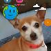 Chris Mckim - Facebook