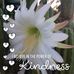 Chris McLafferty - Facebook