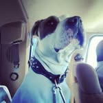 chris mclain - @christophermlain13579 - Instagram