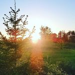 Chris Mclaws - @mclawschris5 - Instagram
