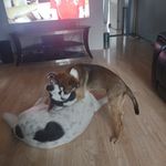 Christopher McLernon - @mclernonchristopher - Instagram