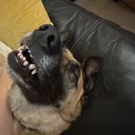 chrismclovin - @cchrismclovinn - Instagram
