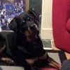 Chris Mcmullan - @chris.mcmullan0 - TikTok