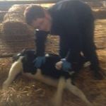 Chris McNamee - @crmcnamee - Instagram