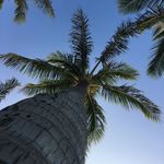 Chris McNamee - @cmcnamee2022 - Instagram