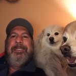 Chris McQuinn - @tigerm24245 - Instagram