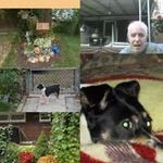 Chris McVey Buddy Grandbouche - @buddygrandbouche - Instagram