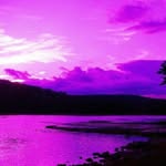 Christine Mcwhinnie - @christinemcwhinnie - Instagram