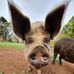 Chris Meagher - Facebook