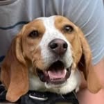 Christian - @christian_meddaugh - Instagram