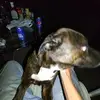 Chris Meinking - @chris.meinking - TikTok