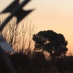 Chris Meintjes - @_chris_mein_ - Instagram
