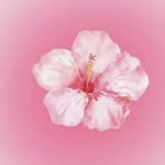 chrismelin @02 - @chrismelin02 - Instagram