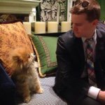 Chris Merkle - @chris.merkle - Instagram