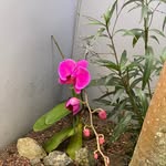 Chris micheal - @breakfreesozo4321 - Instagram