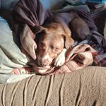Chris Michels - @michels1442 - Instagram