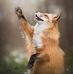 Christopher Midgett - Facebook