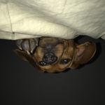 Chris Minotti - @illu_minotti3 - Instagram