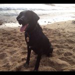 Chris - @chris_mitts - Instagram