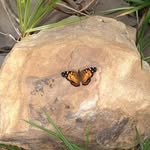 Christine Mockler - @chrissyyy68 - Instagram