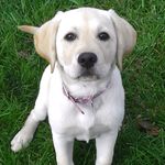 Chris Moe - @moe.chris - Instagram