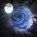 Chris Moe - Facebook