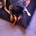 Chris Moffat - @moffat8499 - Instagram