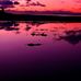 Christopher Moir - Facebook