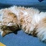 Christopher Mokry - @christopher.mokry - Instagram