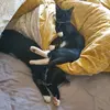 Chris More - @chrismore5 - TikTok