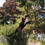 Chris Munroe - @ferret352 - Instagram