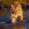 Chris Munroe - @2176333917 - TikTok