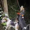 Chris Murdock - @chris.murdock7 - TikTok