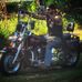 Chris Murphy - Facebook
