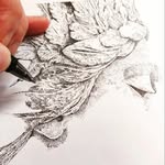 Chris Murphy - @chris_murphyarts - Instagram