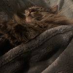 Chris Musson - @chris.musson.7 - Instagram