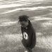 Chris Mwangi - Facebook