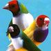 Chris Nurum - Facebook
