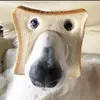 Chris Naude - @chrisnaude01 - TikTok