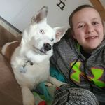 Chris Nesbit - @nesbit_transportation - Instagram