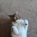 Chris Nesbitt - Facebook